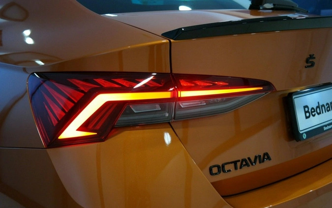 Skoda Octavia cena 197999 przebieg: 5, rok produkcji 2024 z Lubycza Królewska małe 562
